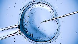 FIV - A Fertilização in vitro é fornecida pelos planos de saúde? Saiba tudo aqui